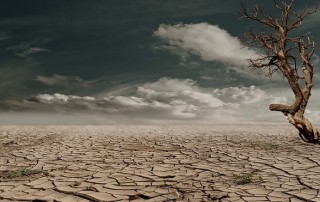 Human Influence Responsible for Third Massive Drought in Amazon since 2005