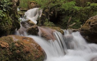 NestlÃ©'s Groundwater Extraction Shame