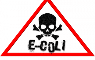 E Coli Discovered In Lewis Drinking Water