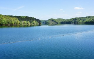 How Can We Combat the Global Fresh Water Crisis?