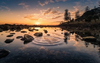 Cyborg Bacteria to Generate Fuel from Water, CO2 & Sunlight?