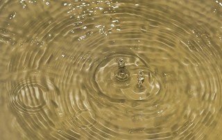 Efficient Use of Water in MENA Discouraged by Low Tariffs