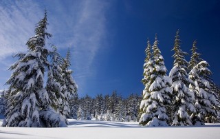 Why You Need a Water Cooler in Winter