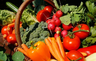 The Top Vegetables to Help You Stay Hydrated