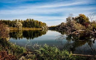 The Largest River on Earth