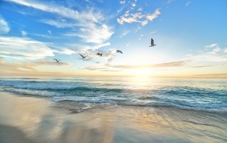 The 5 Oceans of the World