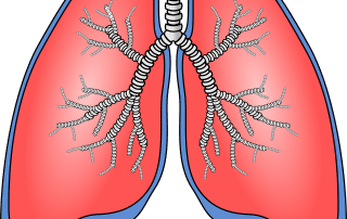 Procedures that Involve Removing Water from the Lungs