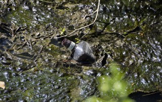 The Industrial Sector's Causes of Water Pollution