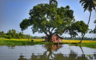 India Water Shortage