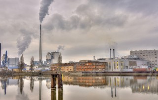 What are the Effects of Consuming Contaminated Water?