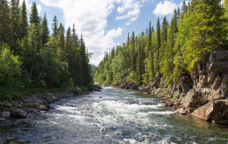 river-stream