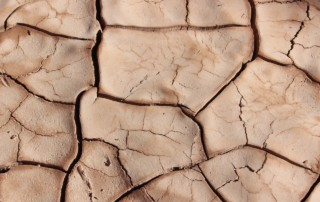 drought-pic