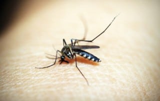 How do water-borne diseases occur?