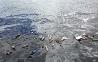 The Biggest Ocean Clean-Up in the World