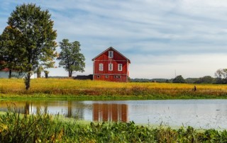 farm-water-pond