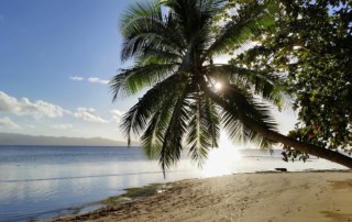 fiji-beach