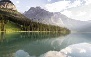 forest-lake
