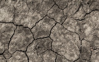 soil-drought-water
