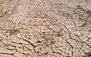 The Somalian Drought Epidemic