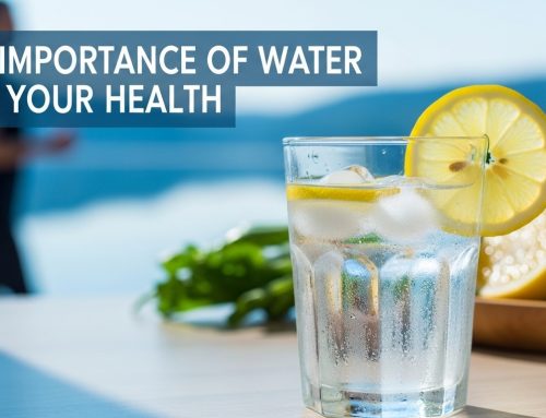 The Importance of Water for Your Health